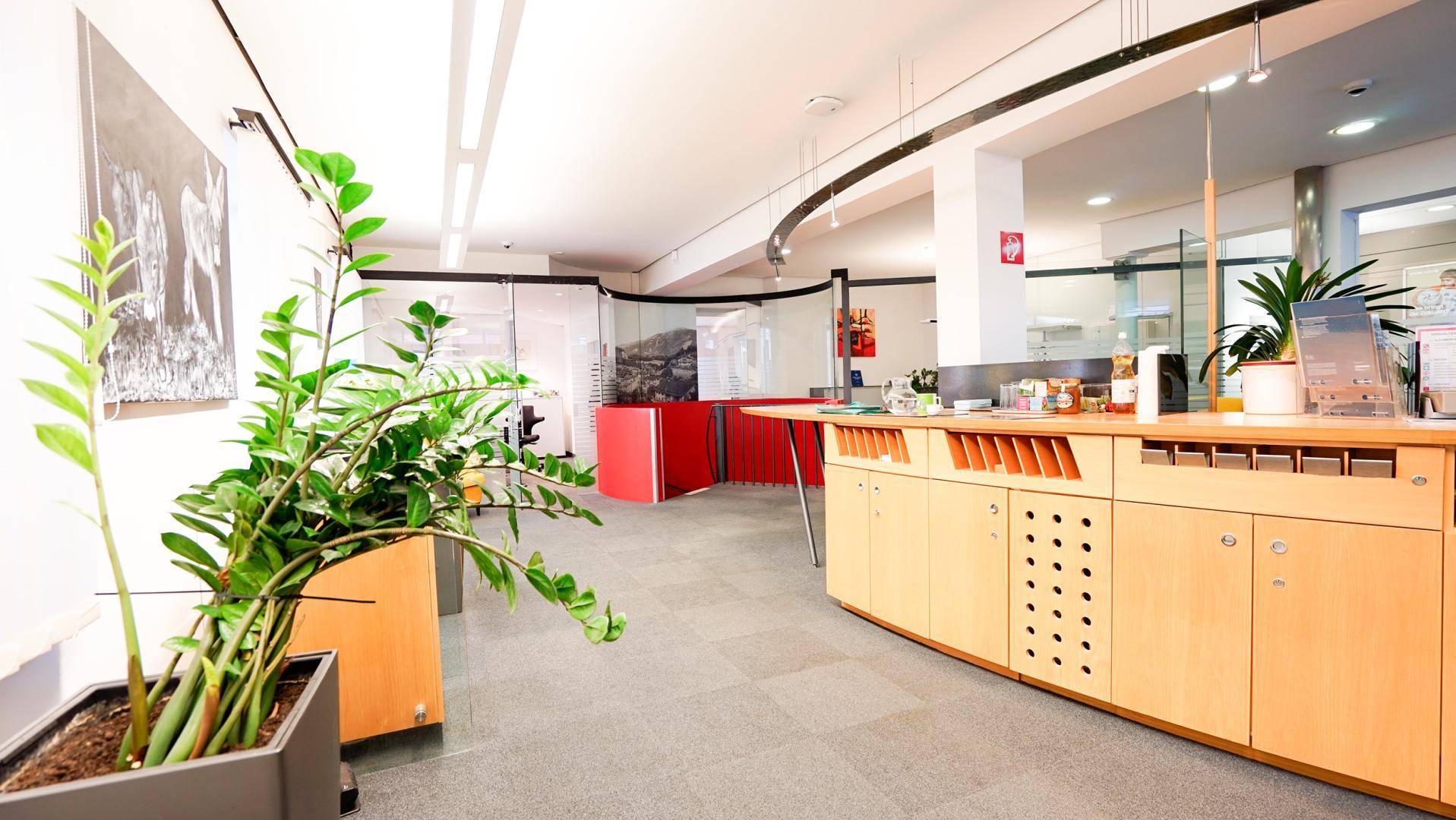 Büro-Empfangsbereich mit Holzmöbeln, grünen Pflanzen und einem modernen Teppichboden.