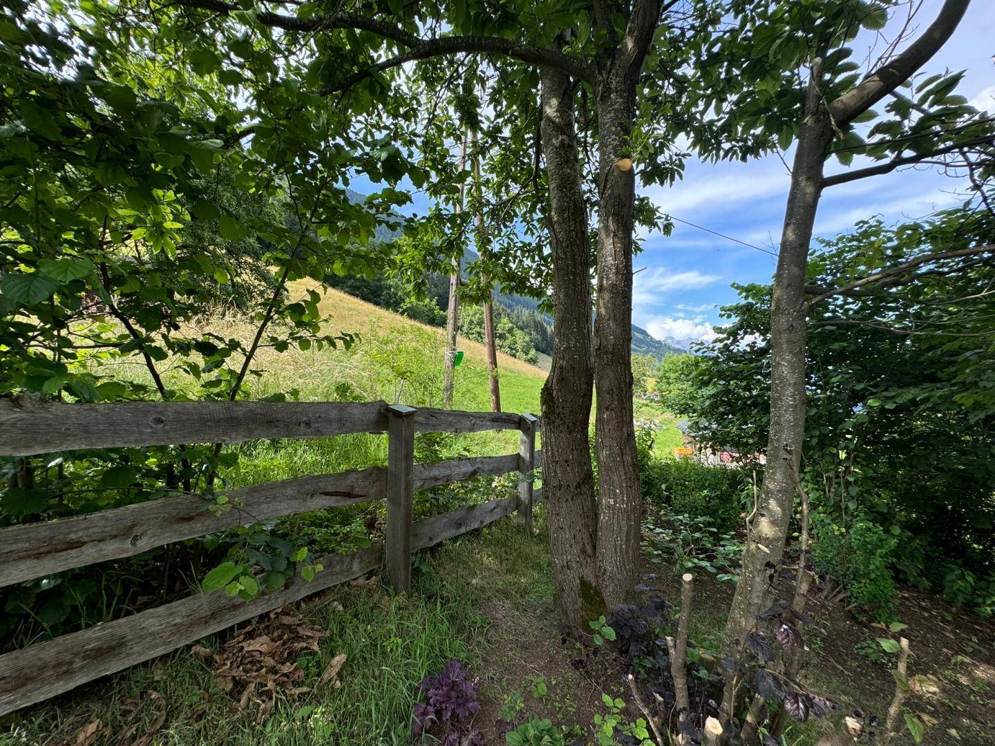 Blick durch einen Holzzaun und Bäume auf eine grüne, hügelige Landschaft.
