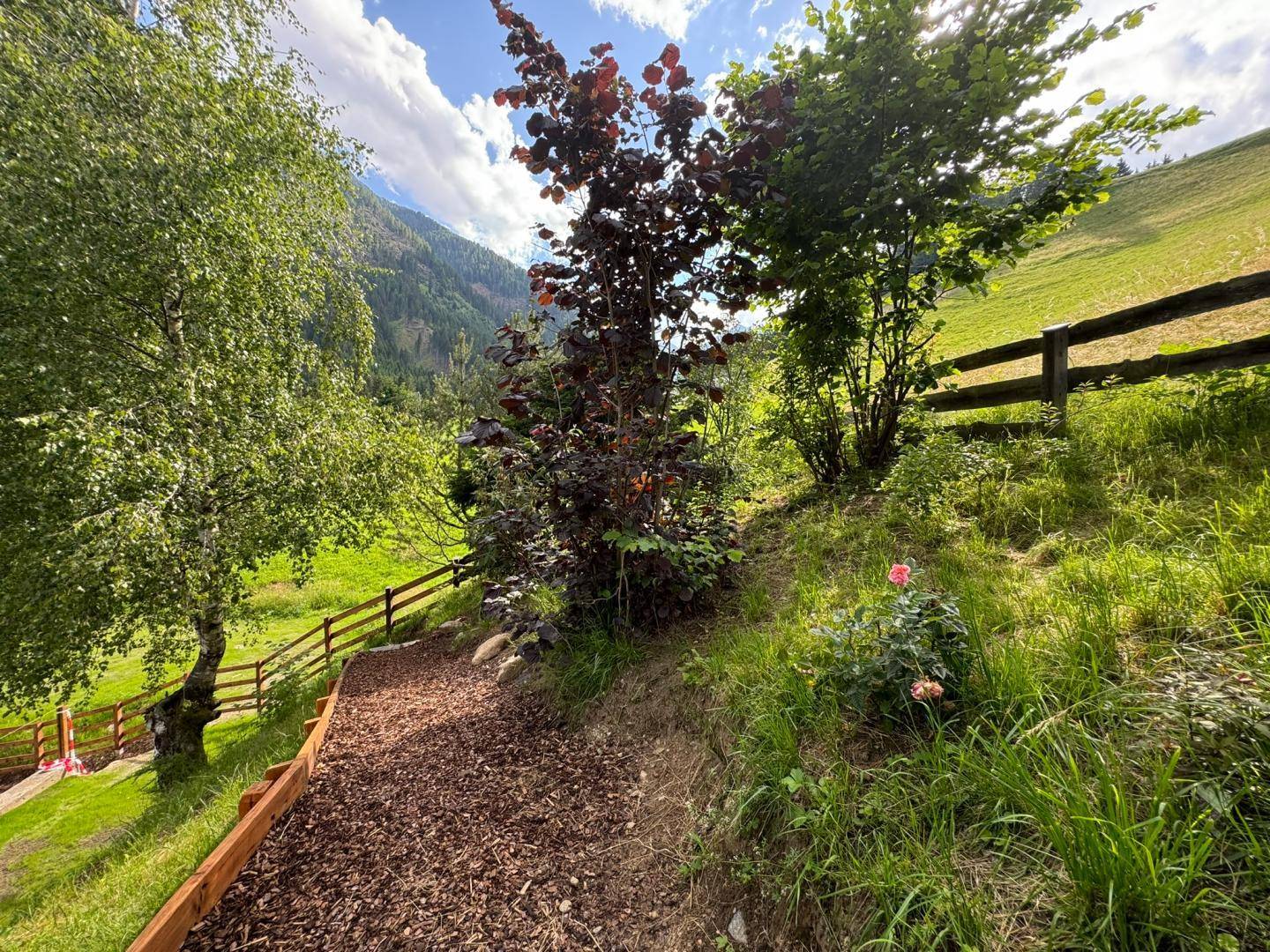 Idyllischer Gartenweg mit Holzspänen, umgeben von üppigem Grün und blühenden Rosen.