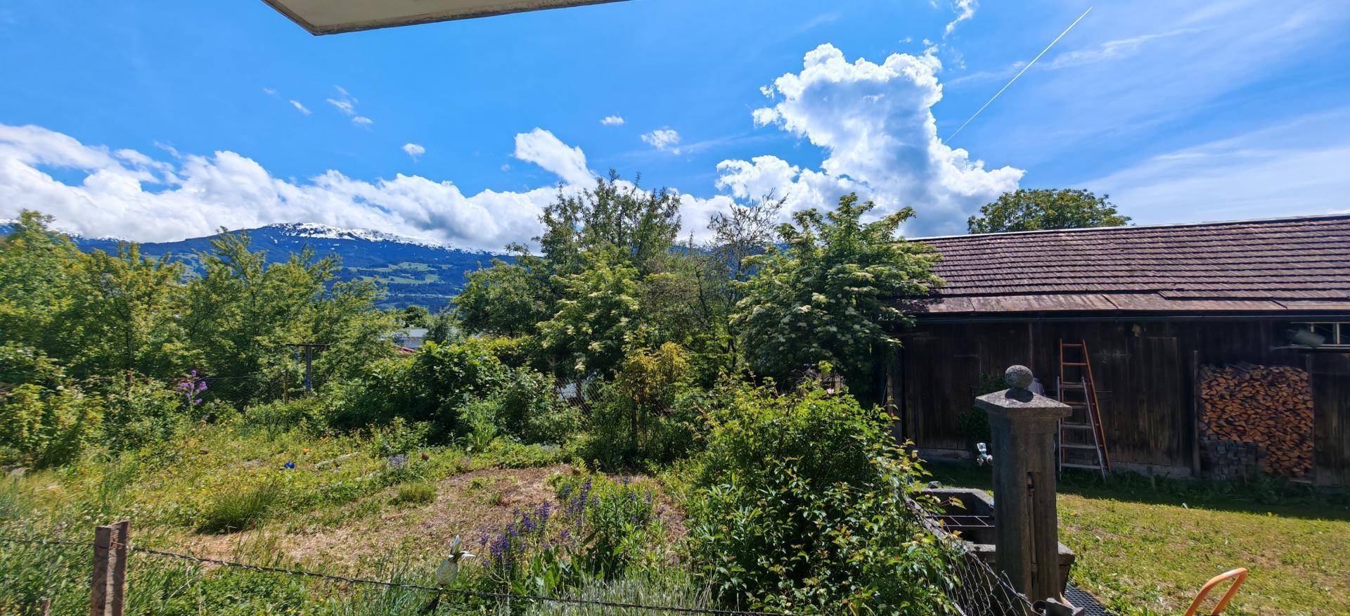 Naturbelassener Gartenbereich mit Bäumen, Sträuchern und einem Holzschuppen im Hintergrund der Berge.