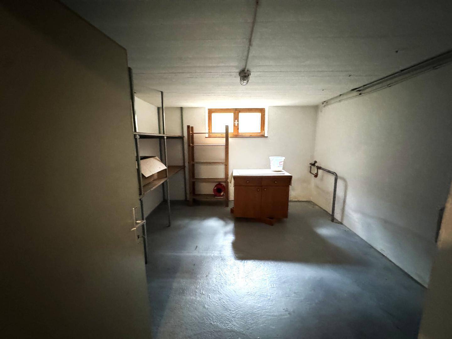 Geräumiger Kellerraum mit Regalen, Fenster und Betonboden für Lagerzwecke.