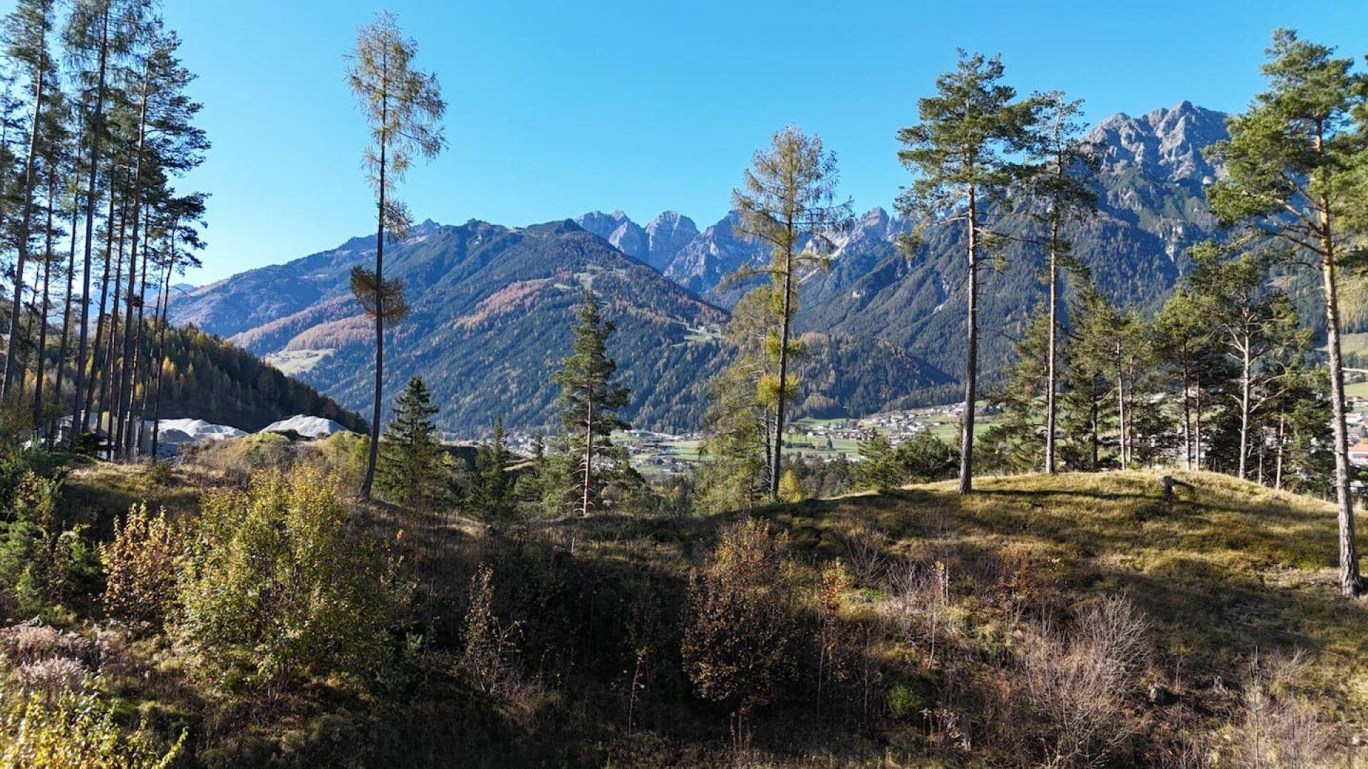 Weitläufiger Blick auf die Alpenlandschaft mit bewaldeten Hügeln und Bergen.