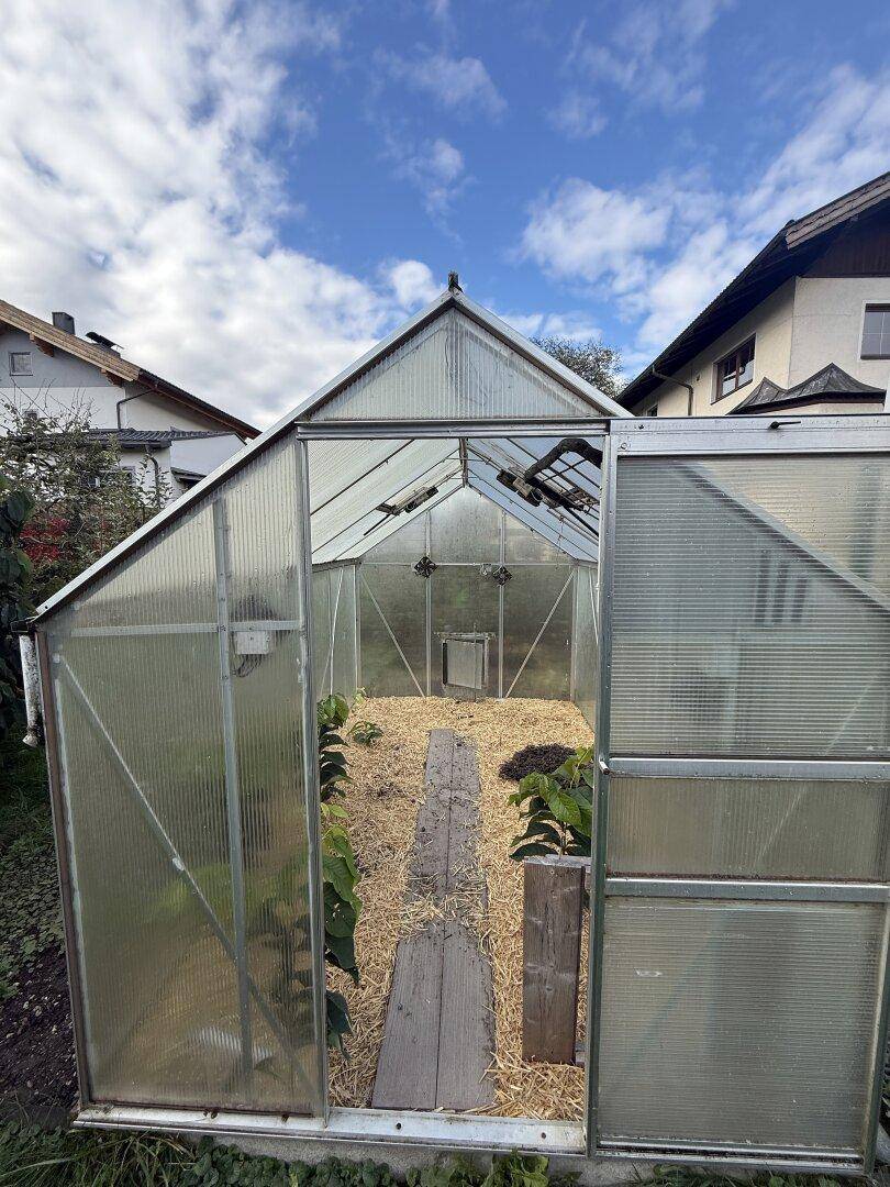 Gewächshaus im Garten mit Pflanzen und Stroh auf dem Boden unter blauem Himmel.