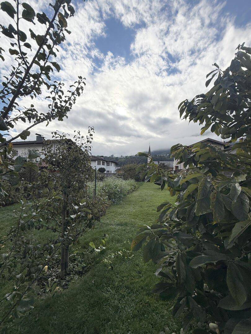 Langer, gepflegter Gartenweg zwischen Obstbäumen mit Blick auf die umliegende Landschaft.