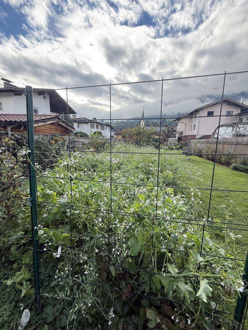 Eingezäunter Bereich im Garten mit blühenden Pflanzen und Blick auf die Nachbarschaft.