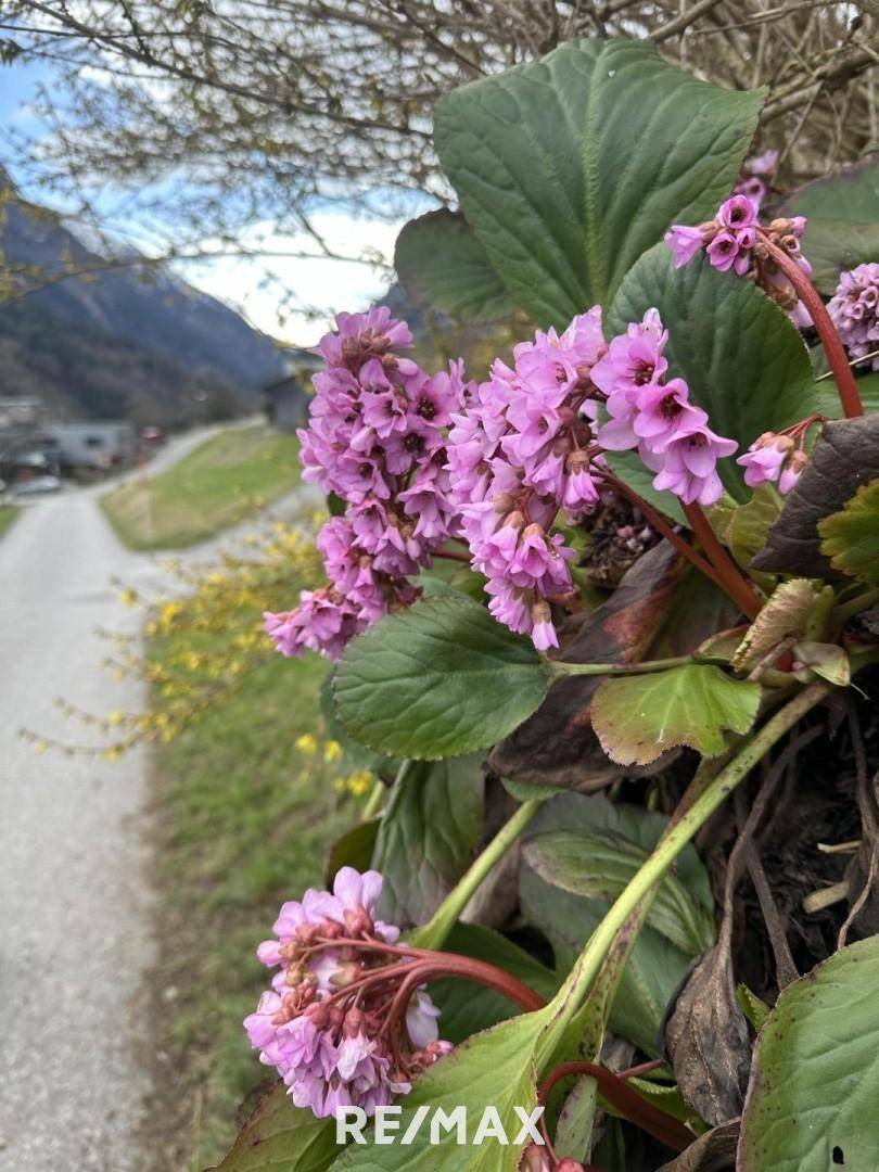 Wanderwege soweit das Auge reicht