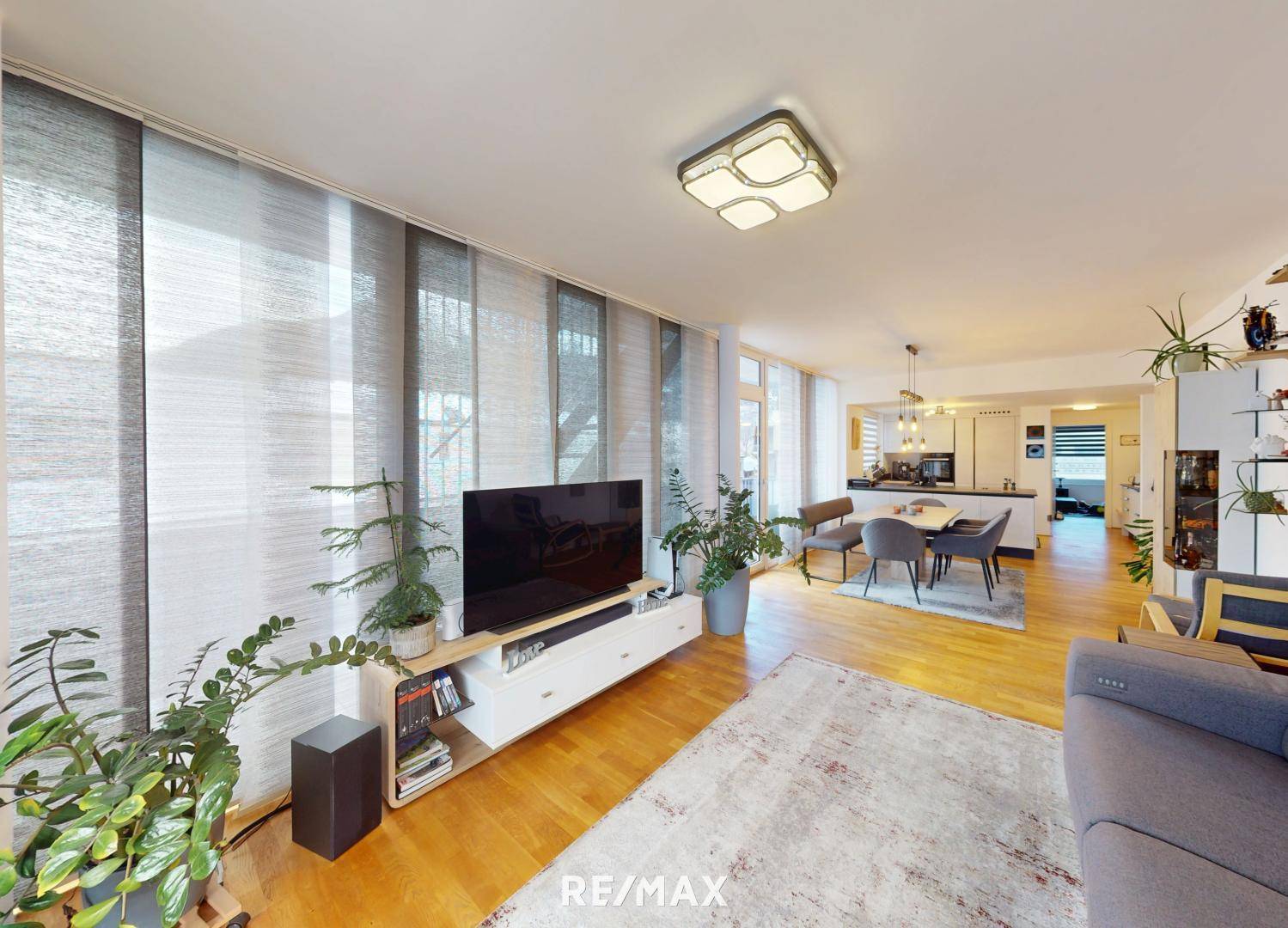 Offener Wohnbereich mit Fernseher, Pflanzen und Essbereich im Hintergrund.