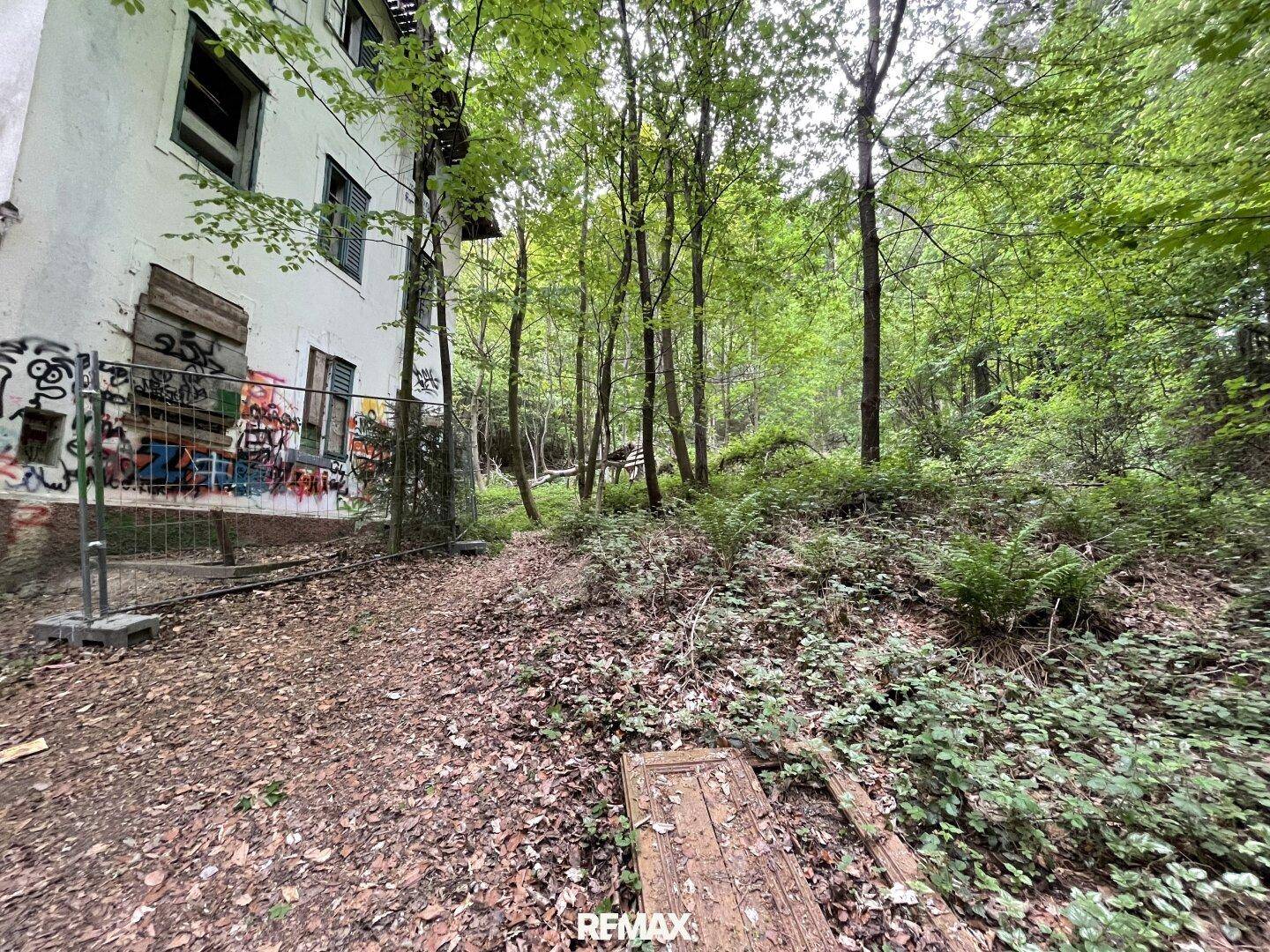 Seitenansicht eines verfallenen Gebäudes mit umfangreichen Graffiti und umgebendem Wald.