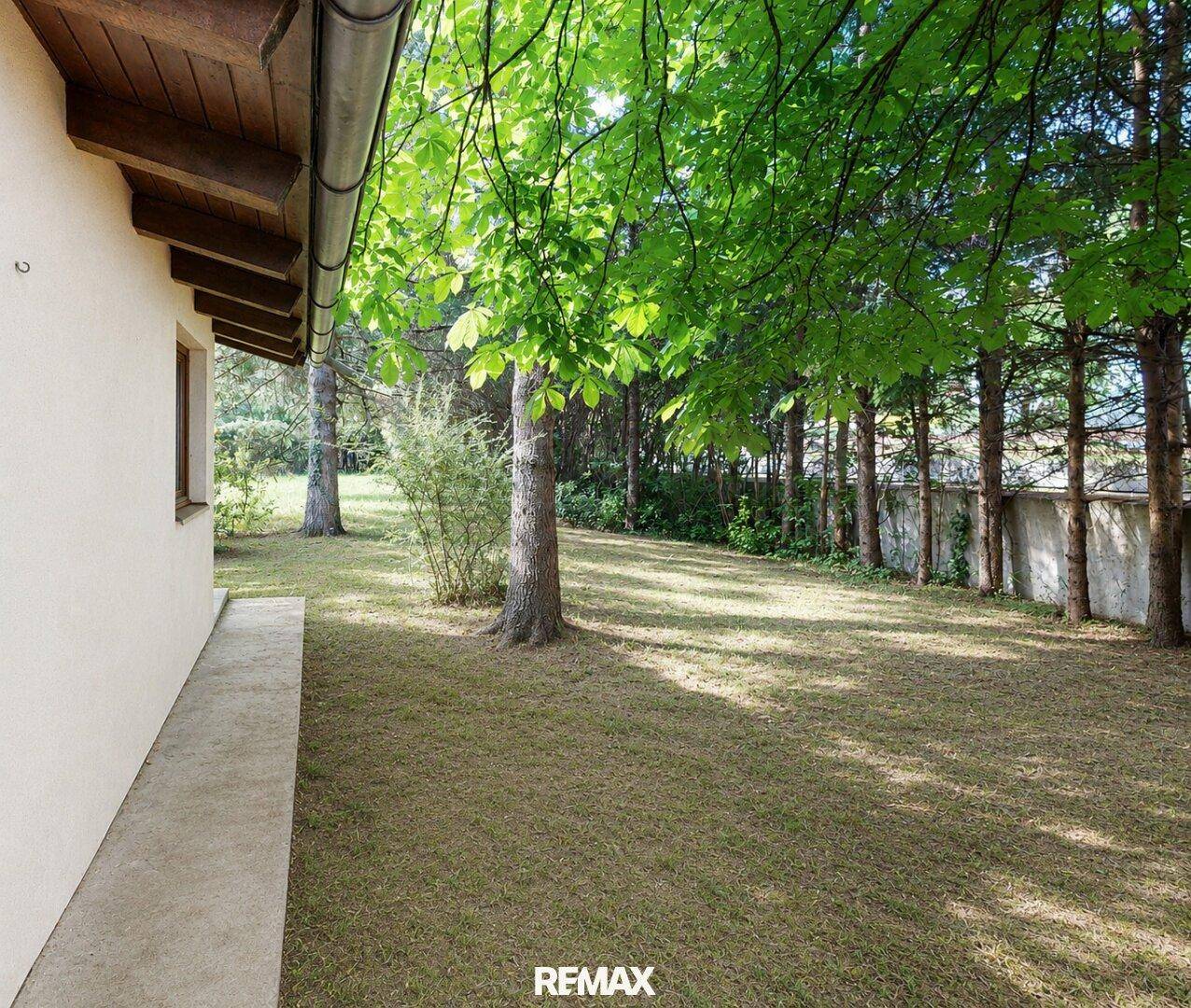 Großer, gepflegter Gartenbereich neben dem Haus mit hohen Bäumen im Hintergrund.