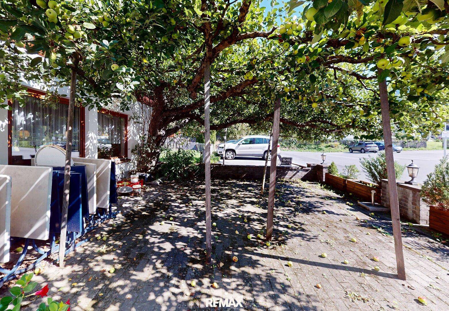 Schattiger Außenbereich mit Sitzgelegenheiten unter einem großen Baum und Blick auf die Straße.
