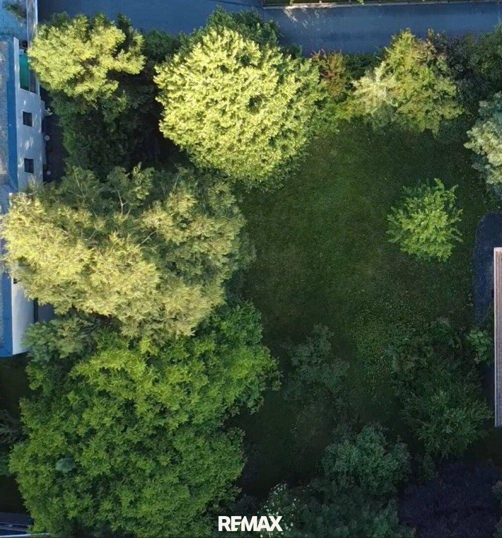 Draufsicht auf ein weitläufiges Gartengrundstück mit viel Grün und Baumbestand neben einem Gebäude.