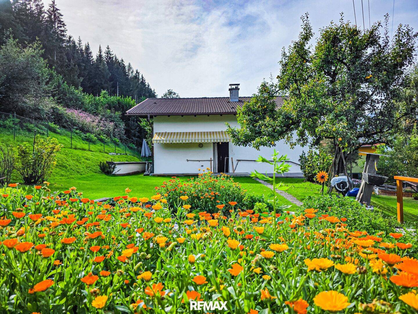 Rückseite des Hauses mit blühendem Garten, grüner Rasenfläche und Obstbaum.