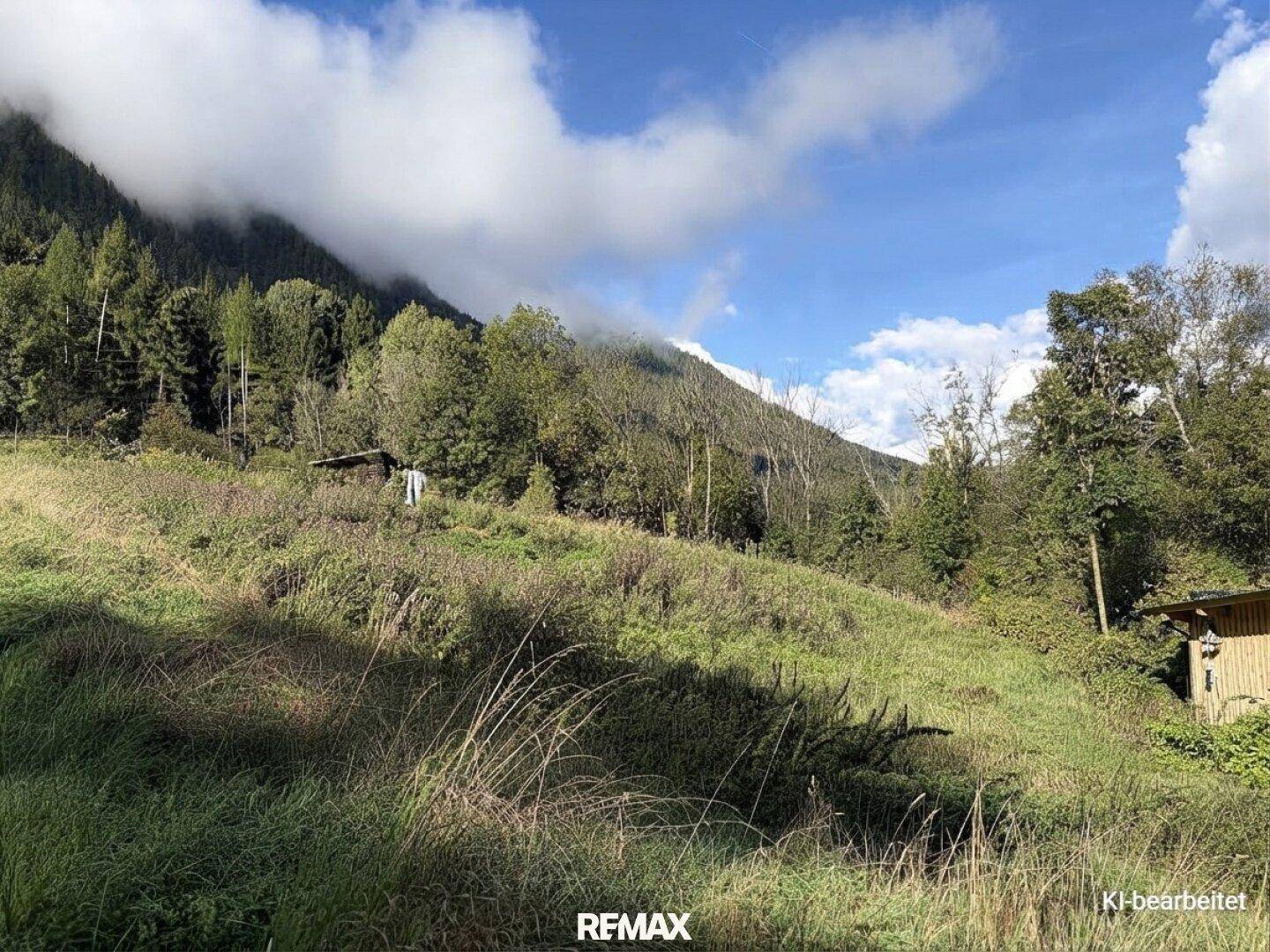 Bewachsener Hang mit Bäumen und einem kleinen Holzschuppen, umgeben von Bergen und Wolken.