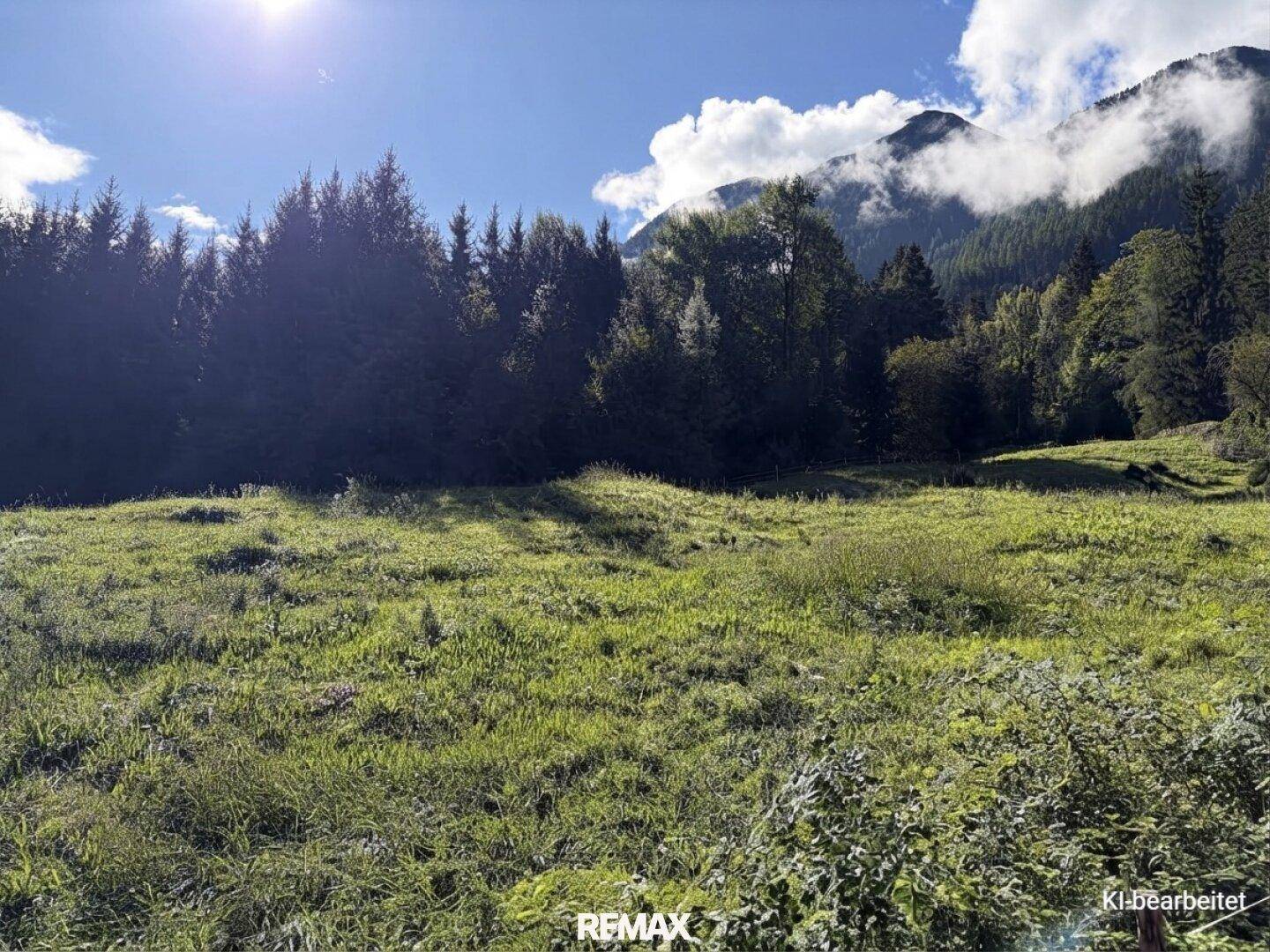 Sonnige grüne Wiese mit dichtem Wald im Hintergrund und majestätischen Bergen unter blauem Himmel.