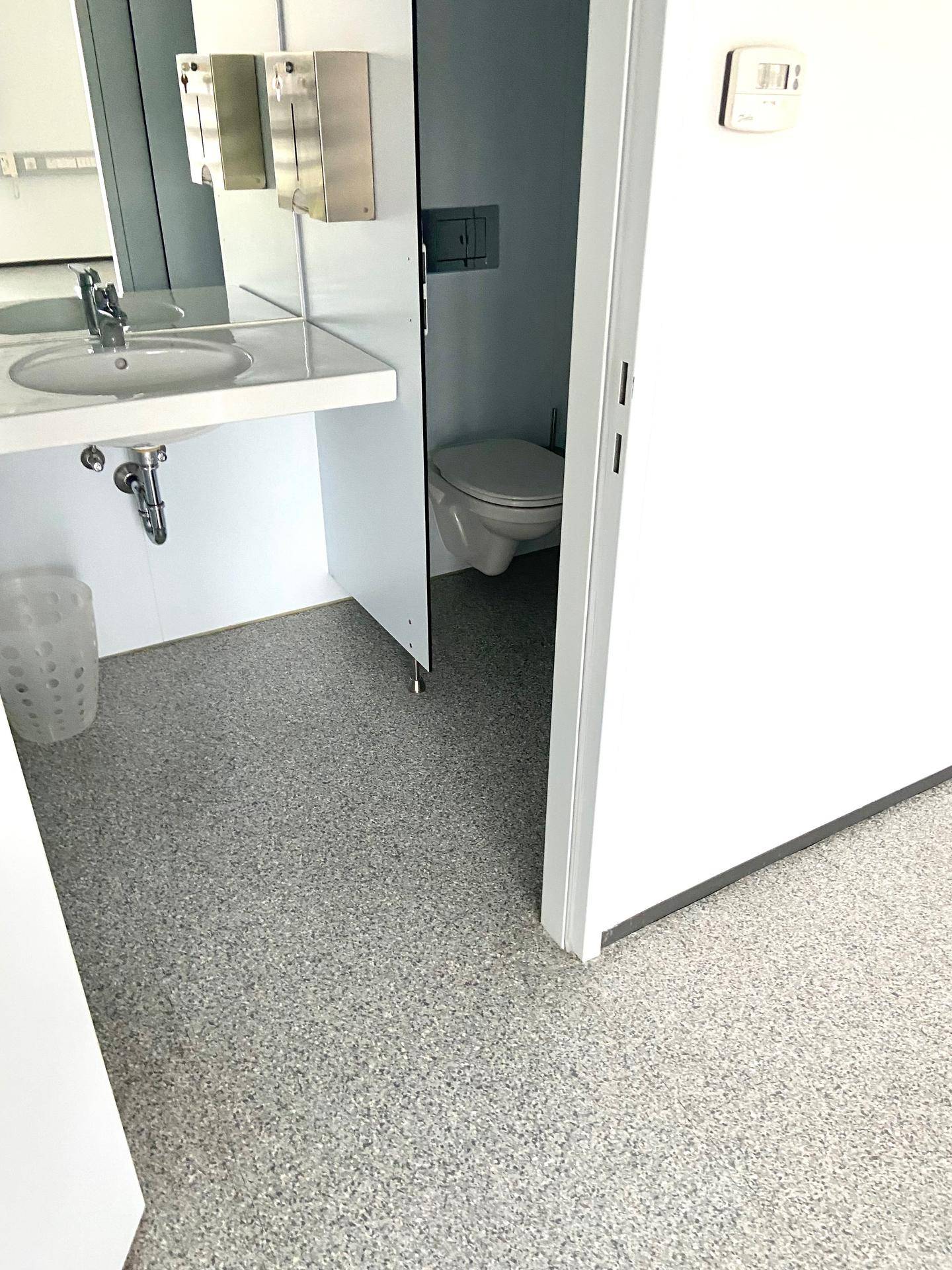 Eingangsbereich zu einem WC mit Waschbecken, Spiegel und Blick auf die Toilette.