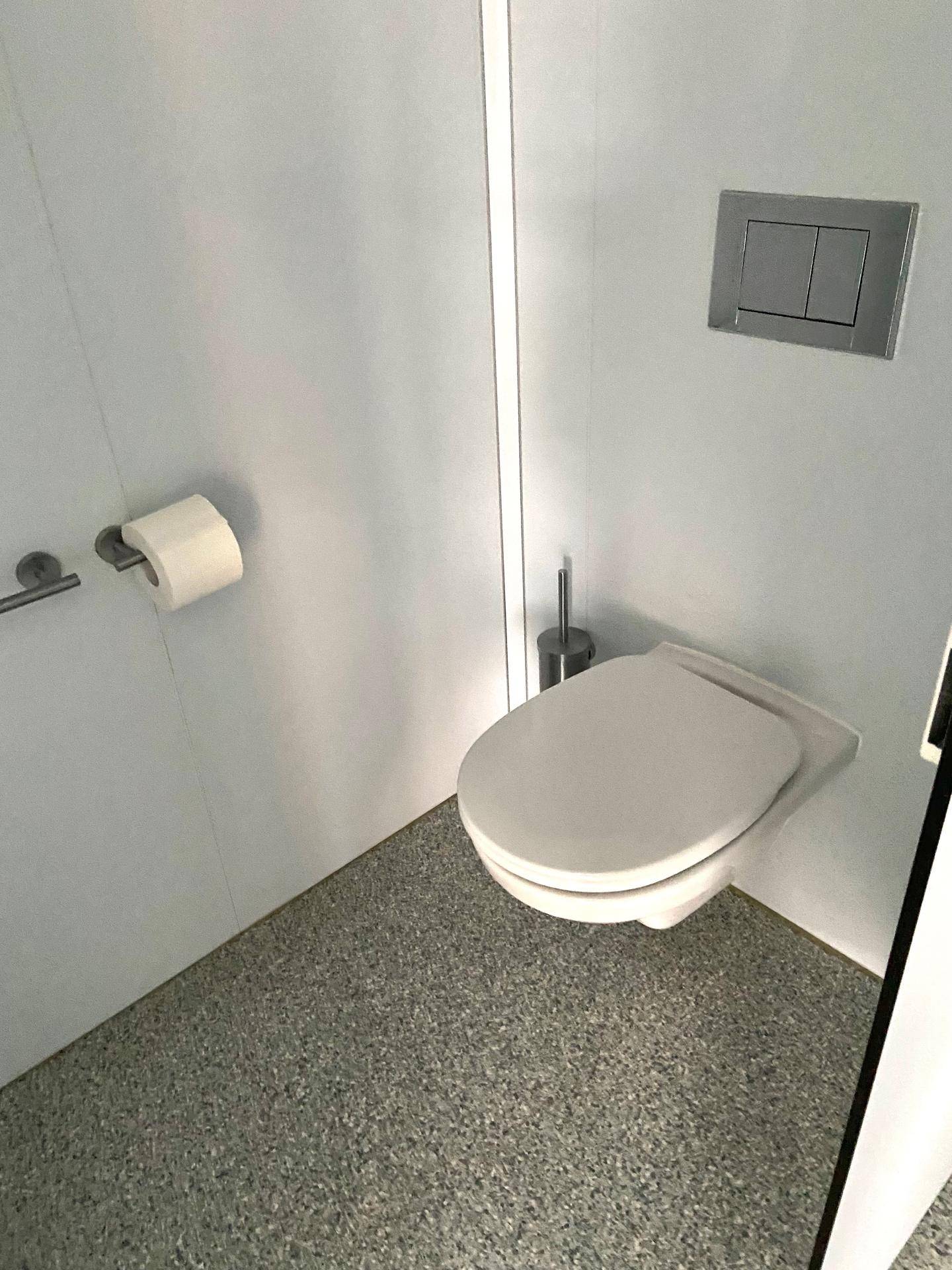 Wandhängende Toilette in einer sauberen Kabine mit grauem Bodenbelag und moderner Spülung.
