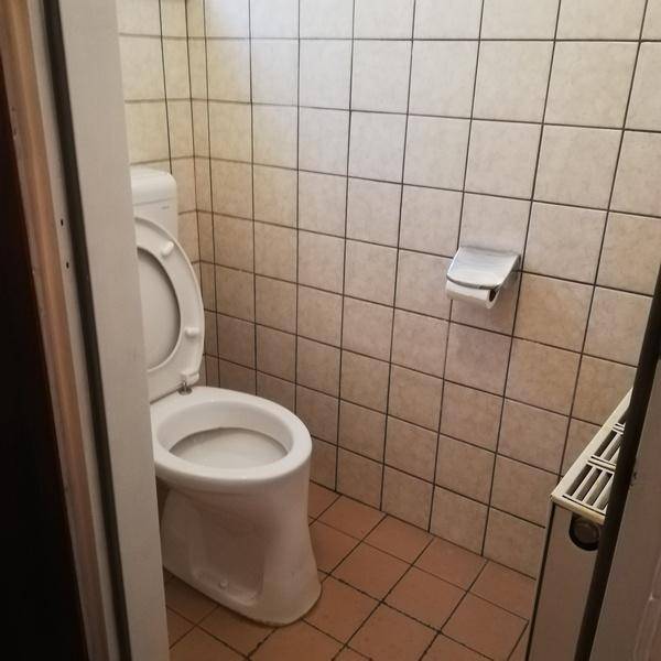 Gefliester Toilettenraum mit WC und Toilettenpapierhalter, durch eine Tür sichtbar.