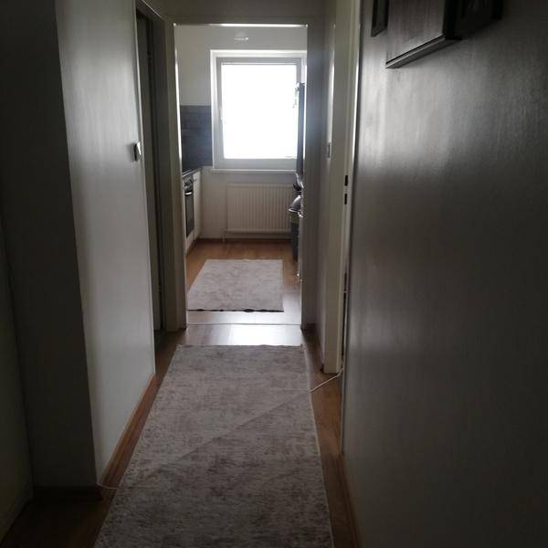 Grazer 59-23-25-8