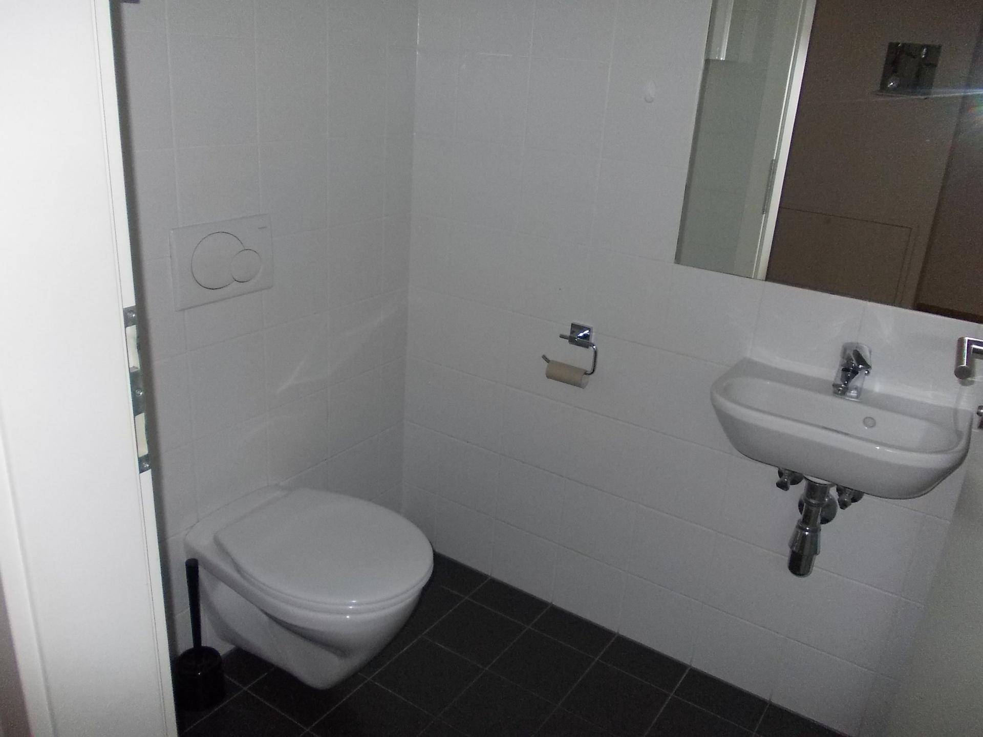 Modernes Gäste-WC mit wandhängender Toilette, kleinem Waschbecken und dunklen Fliesen.