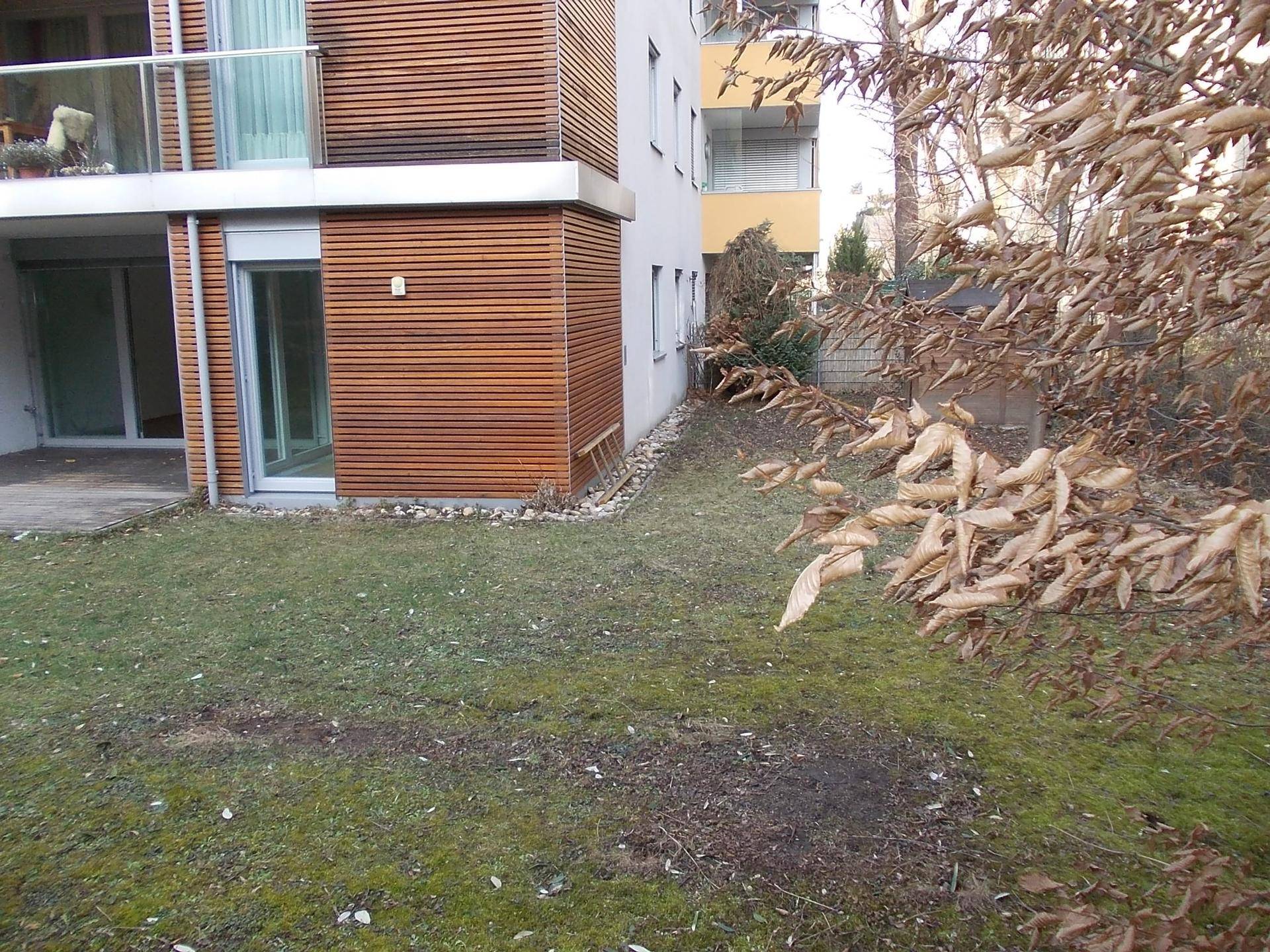 Gartenansicht mit Rasenfläche und der modernen Gebäudefassade, umgeben von Bäumen.