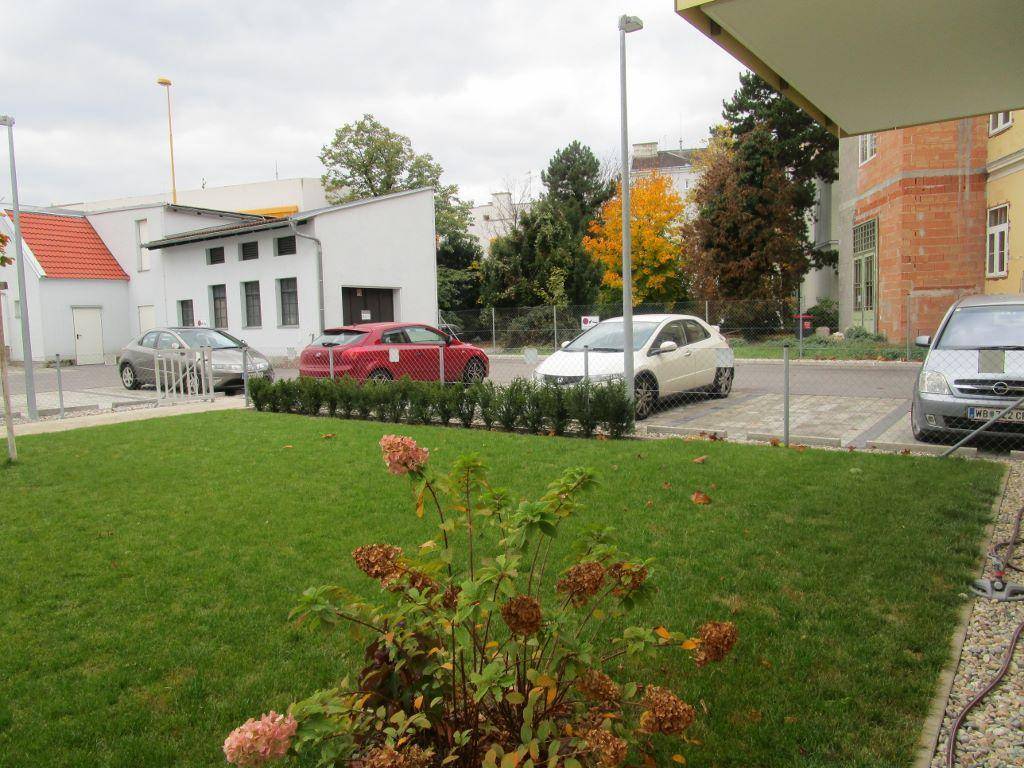 Gepflegte Rasenfläche mit Hecke und geparkten Autos auf dem Außenparkplatz.