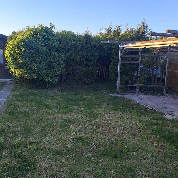Grüner Gartenbereich mit Rasenfläche, Hecken und einer Holzpergola im Sonnenlicht.