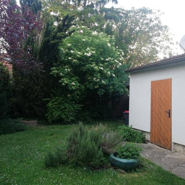 Ungarviertel -Schönes Einfamilienhaus in guter Wohnlage - Ansicht 5