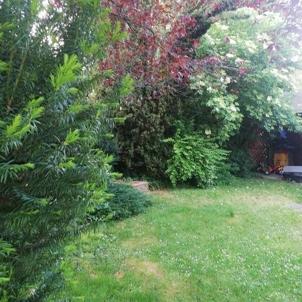 Ungarviertel -Schönes Einfamilienhaus in guter Wohnlage - Ansicht 6