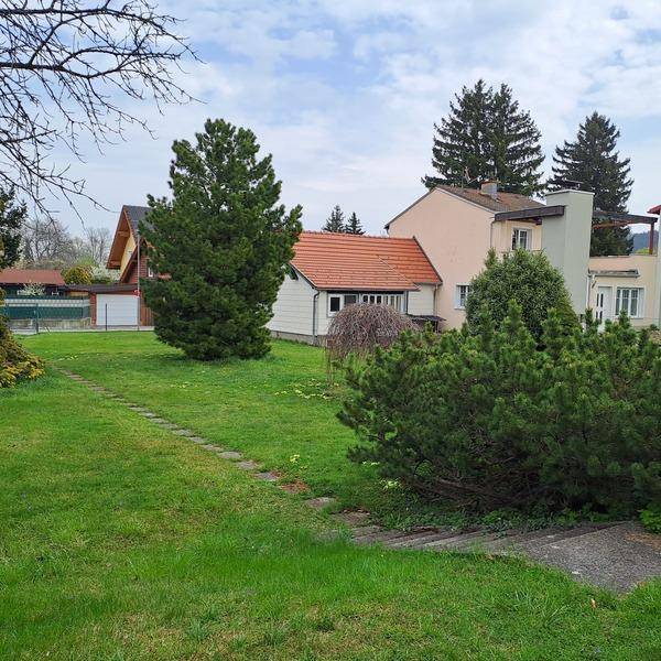 Großer Garten mit Rasenfläche, verschiedenen Bäumen und Blick auf die umliegenden Gebäude.