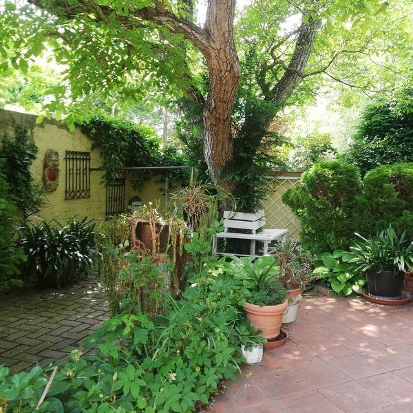 Gepflasterter Gartenbereich mit einem großen Baum, vielen Topfpflanzen und einer charmanten Steinmauer.