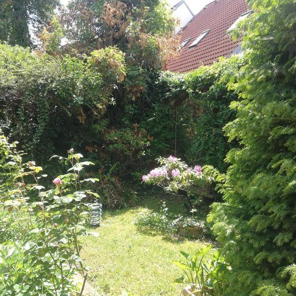Kleiner, gepflegter Gartenbereich mit Rasen, Blumen und üppiger Bepflanzung.