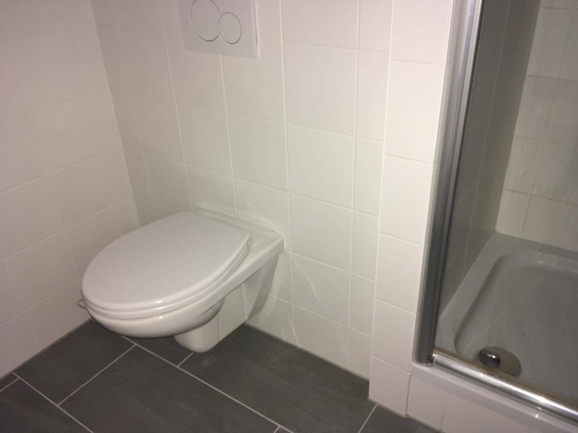 Modernes Badezimmer mit wandhängendem WC, Duschkabine und hellen Fliesen an Wänden und Boden.