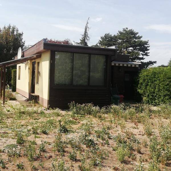 Ansicht des kleinen Hauses von der Seite mit großen Fenstern und dem naturbelassenen Gartenbereich.