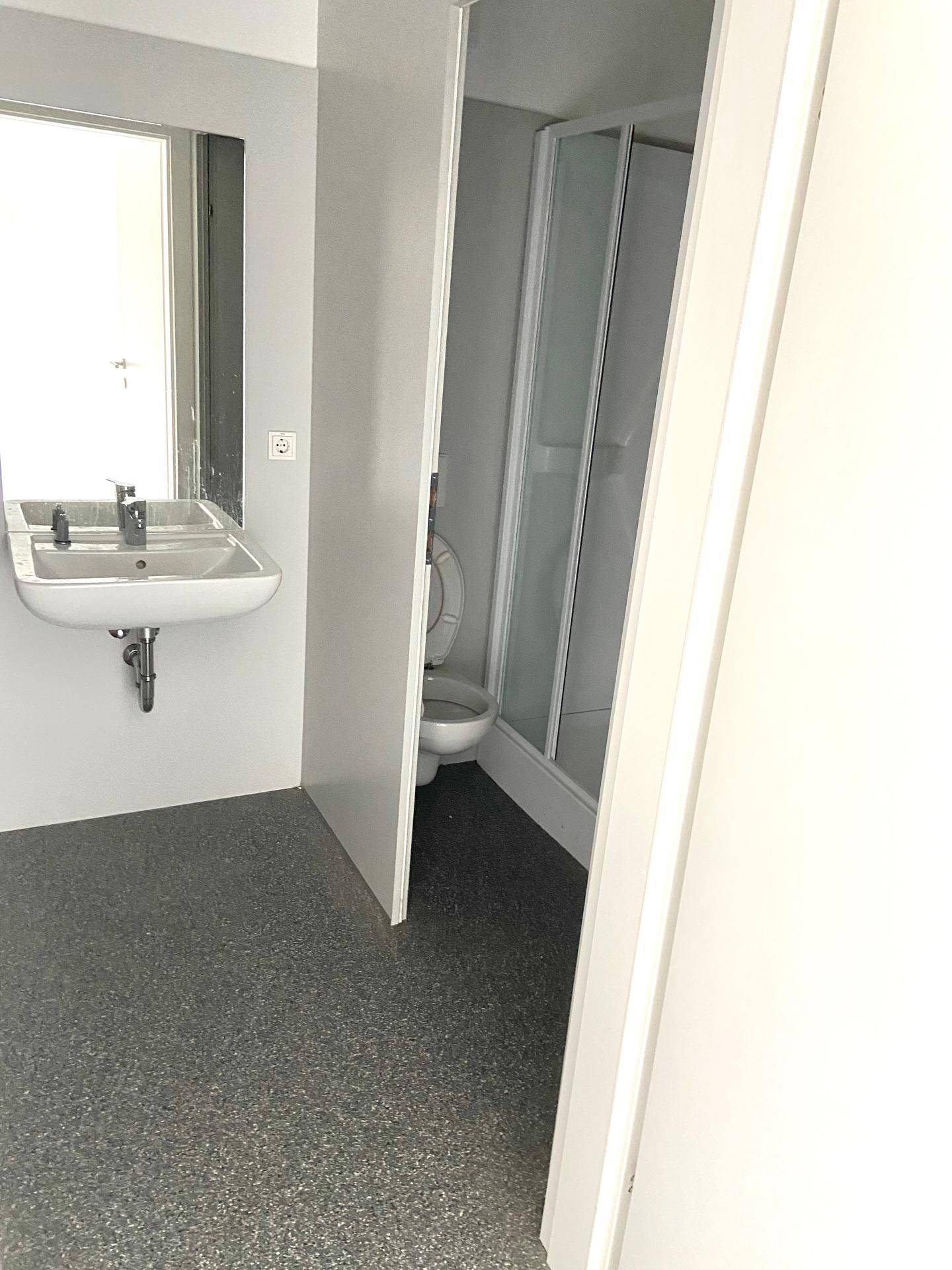 Badezimmer mit Waschbecken, Spiegel und einer Duschkabine mit Toilette im Hintergrund.