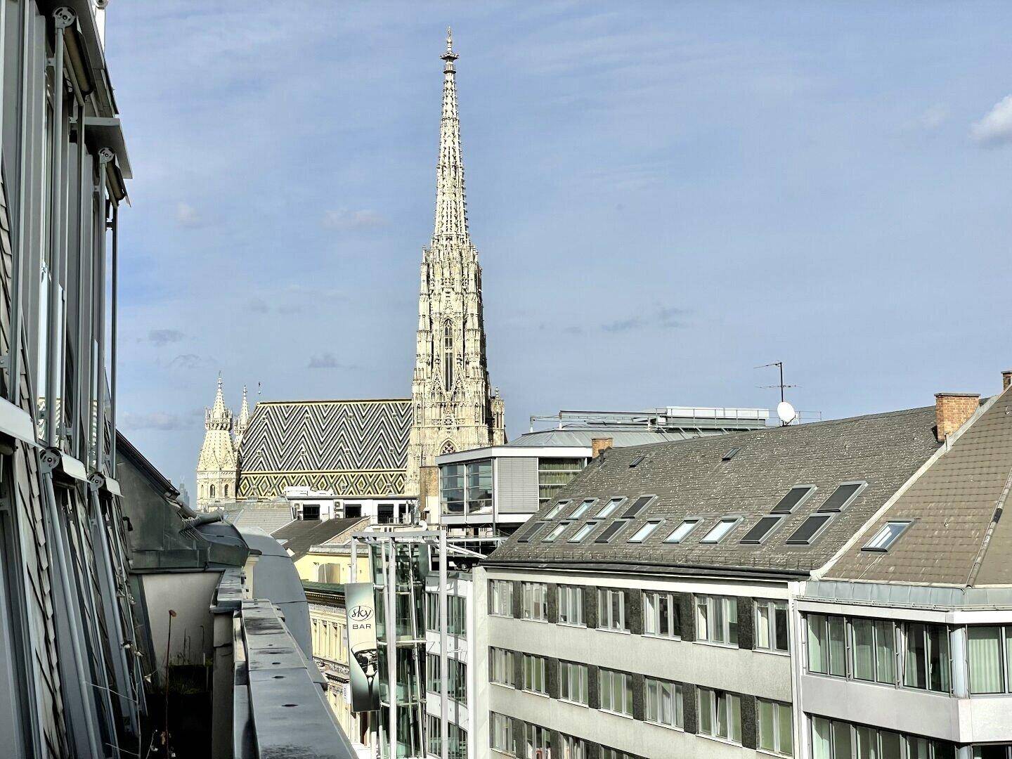 Fernblick