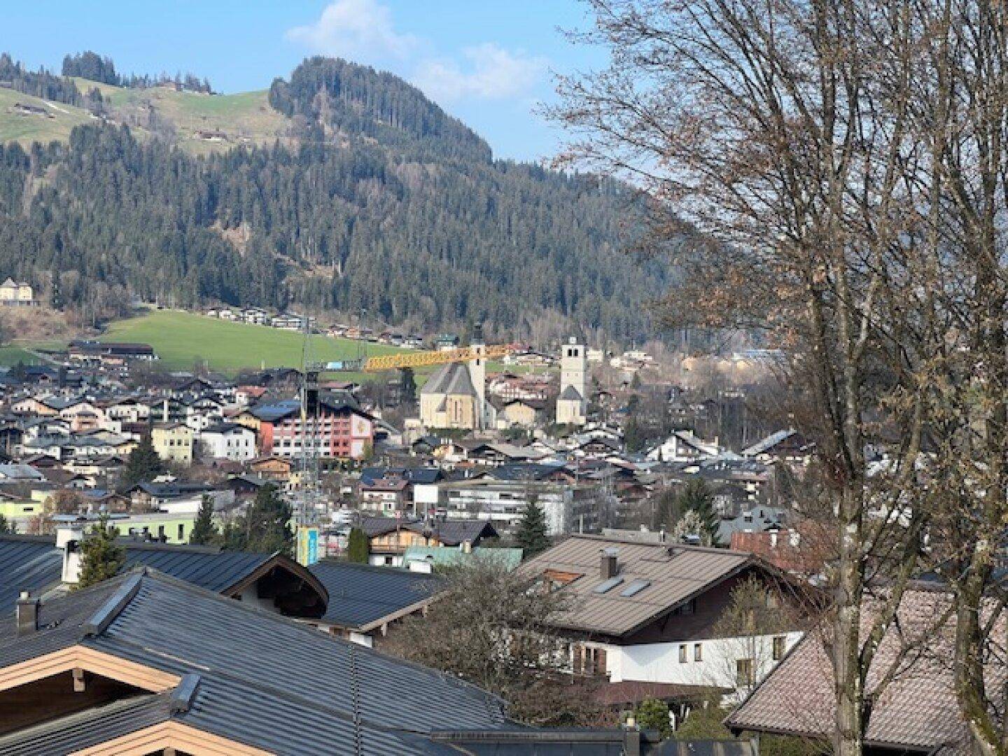 Sonniger Blick auf eine Stadt mit grünen Hügeln und Wäldern im Hintergrund, über den Dächern der Häuser.