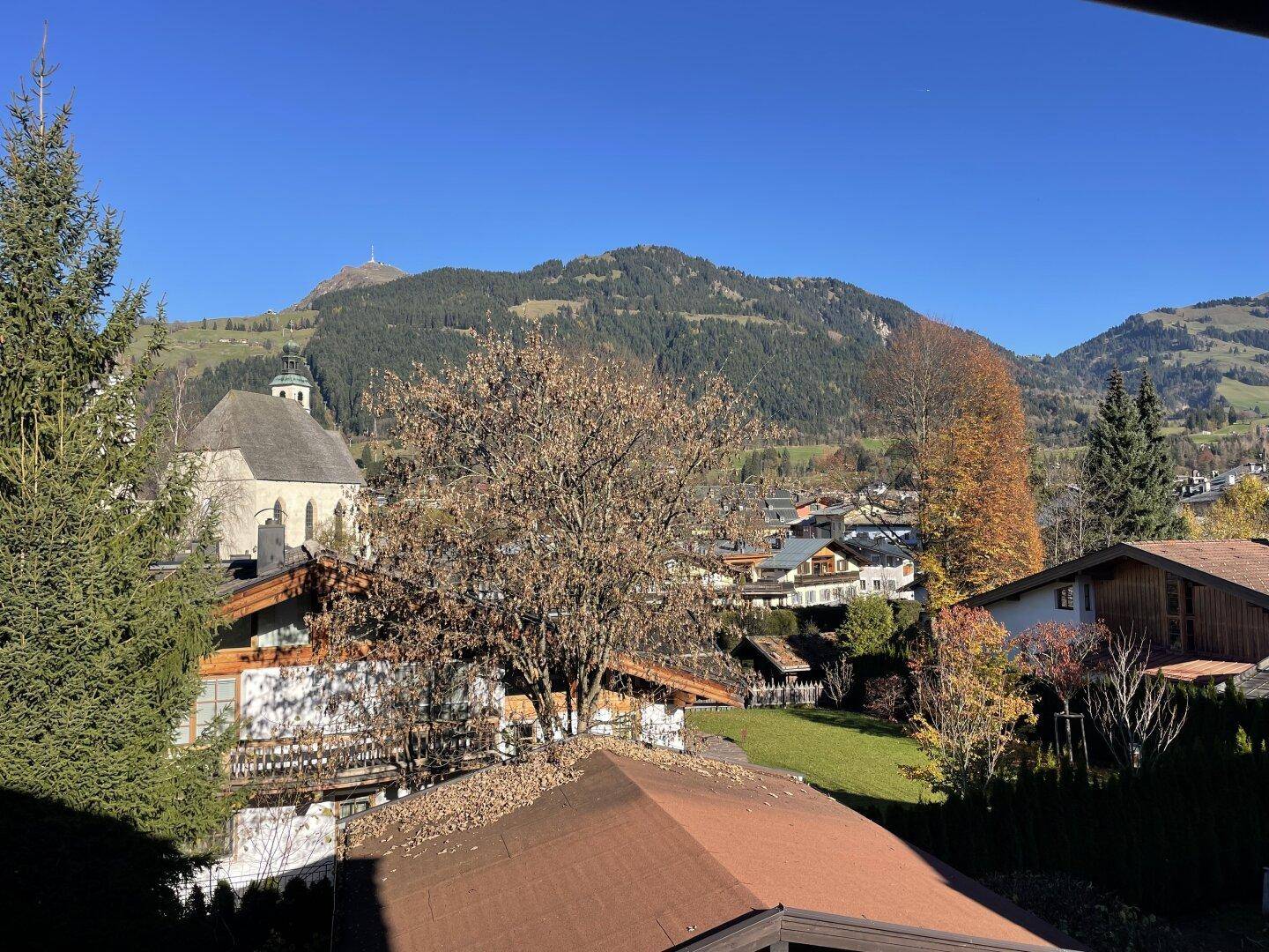 Blick auf Pfarrkirche und Horn