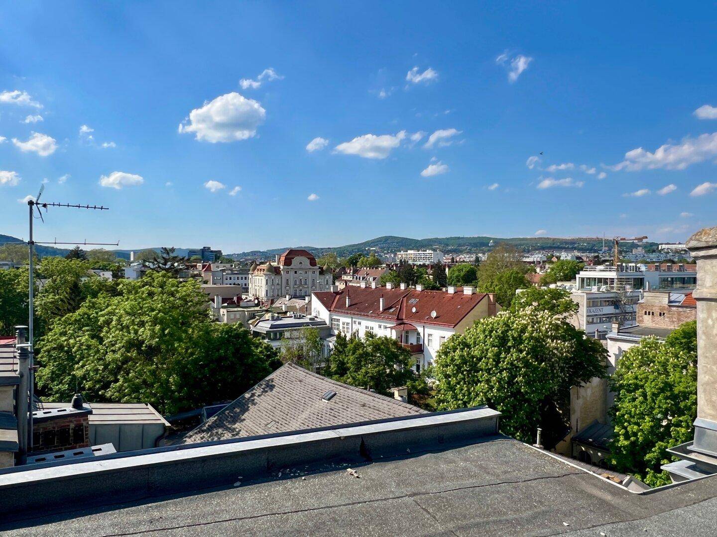 Ausblick über die grünen Baumwipfel und Dächer der Stadt an einem sonnigen Tag.