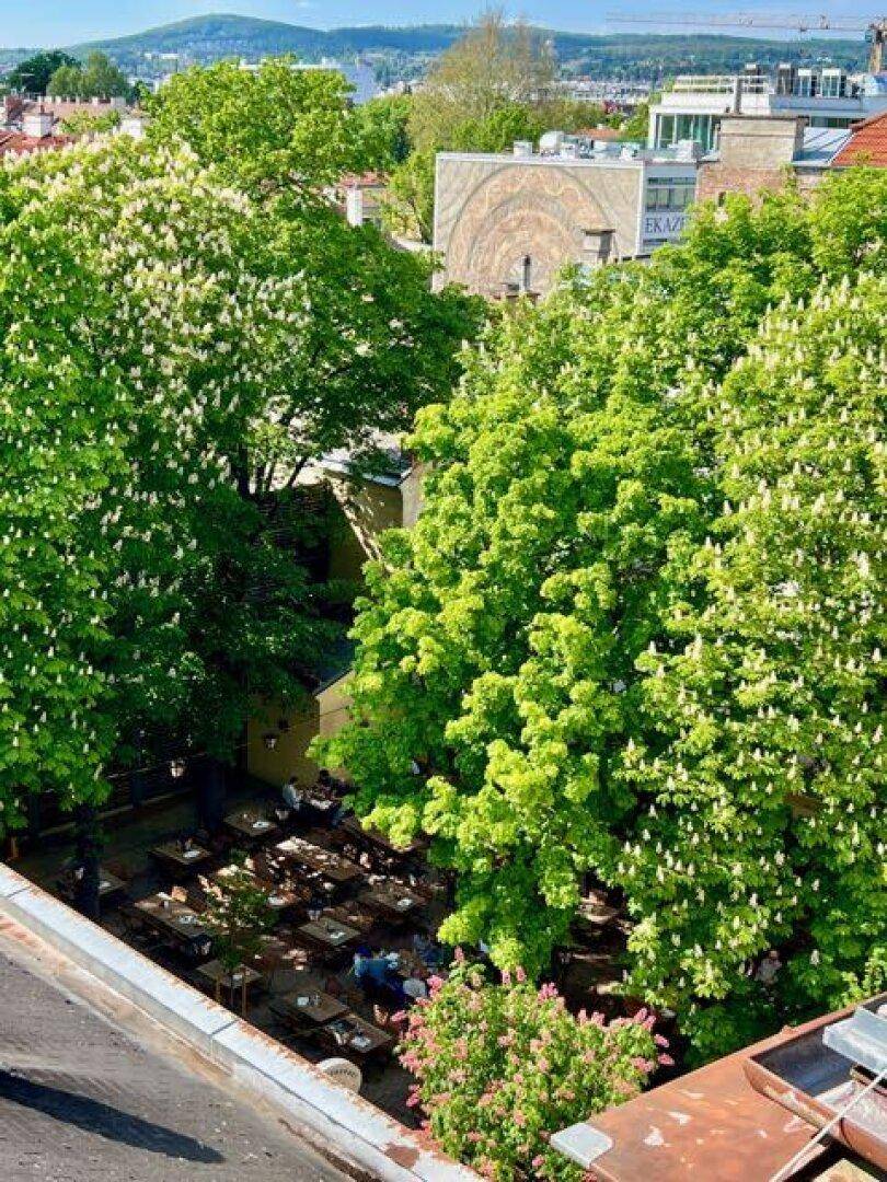 Blick von oben auf einen grünen Innenhof mit blühenden Bäumen und Sitzgelegenheiten.