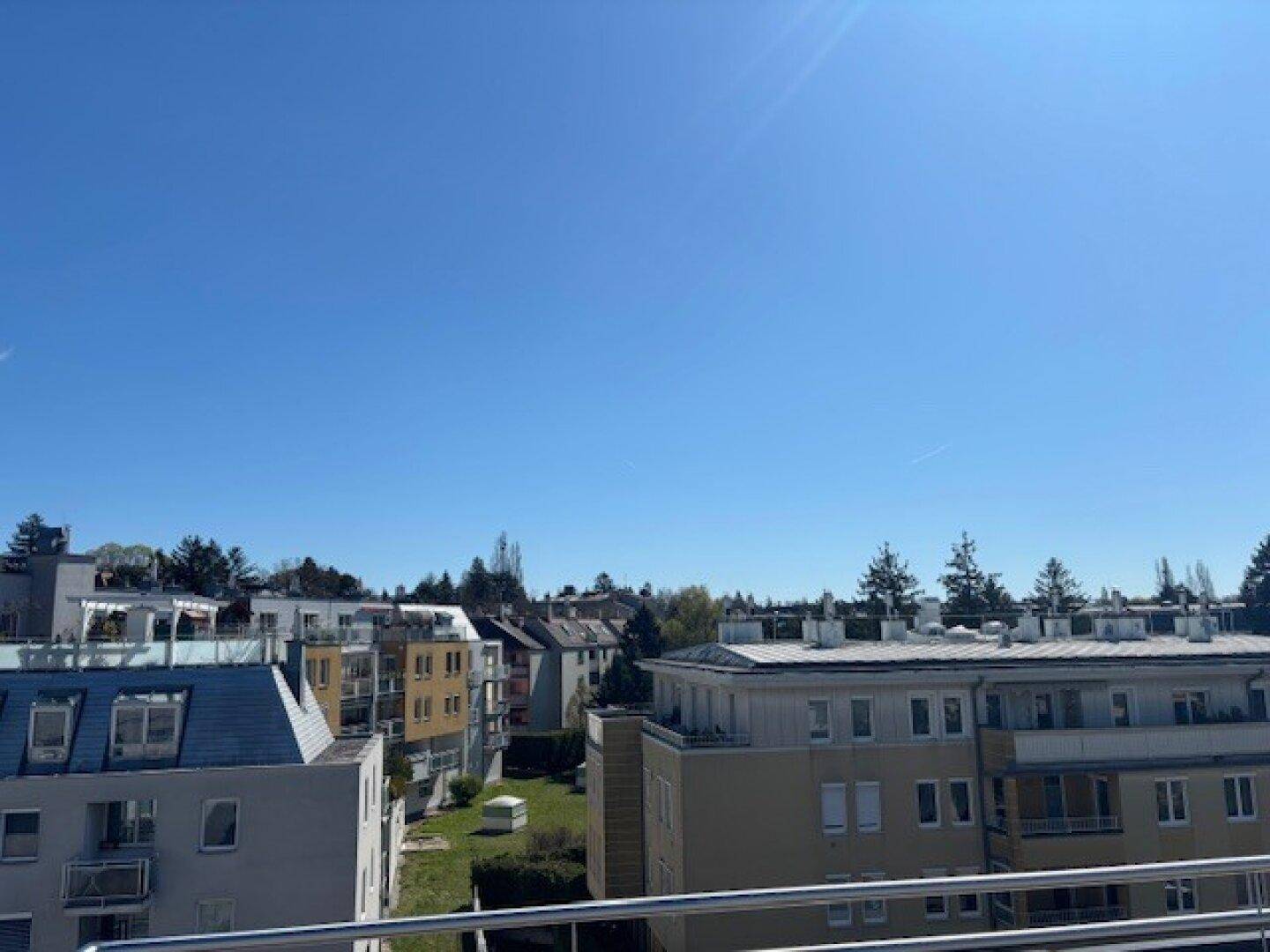 Weitblick über die Dächer der umliegenden Gebäude und grüne Baumwipfel unter blauem Himmel.