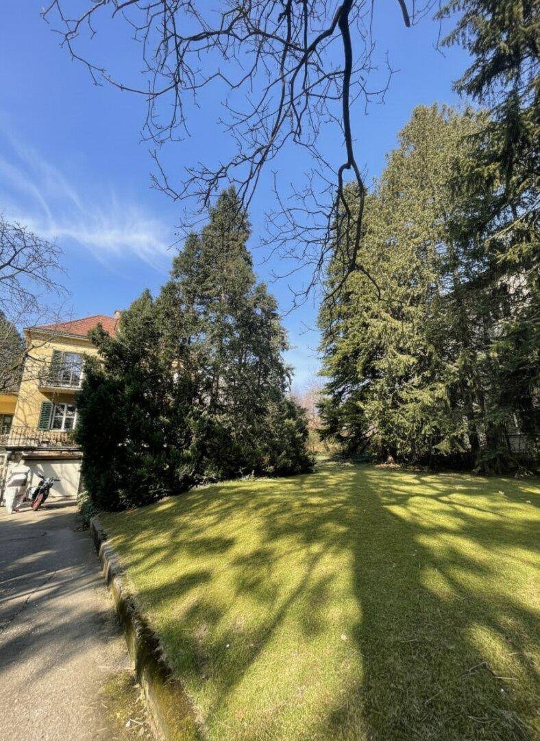 Sonniger Garten mit altem Baumbestand und Blick auf die Gebäudefassade mit Balkonen.