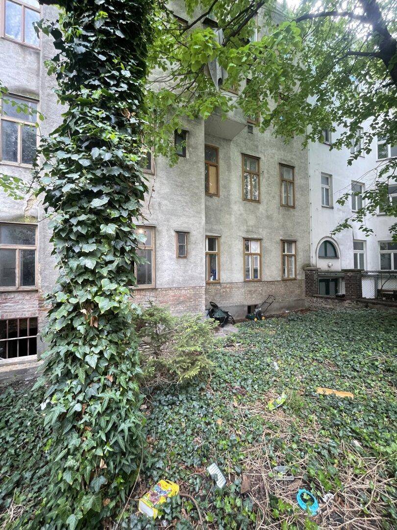 Hinterhofbereich eines Gebäudes mit üppigem Efeu, Bäumen und einem ungepflegten Garten.