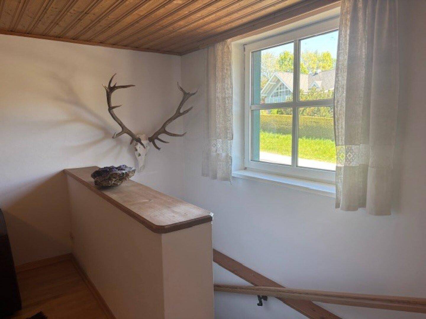 Heller Treppenaufgang mit Fenster, Holzgeländer und traditioneller Hirschgeweih-Dekoration.