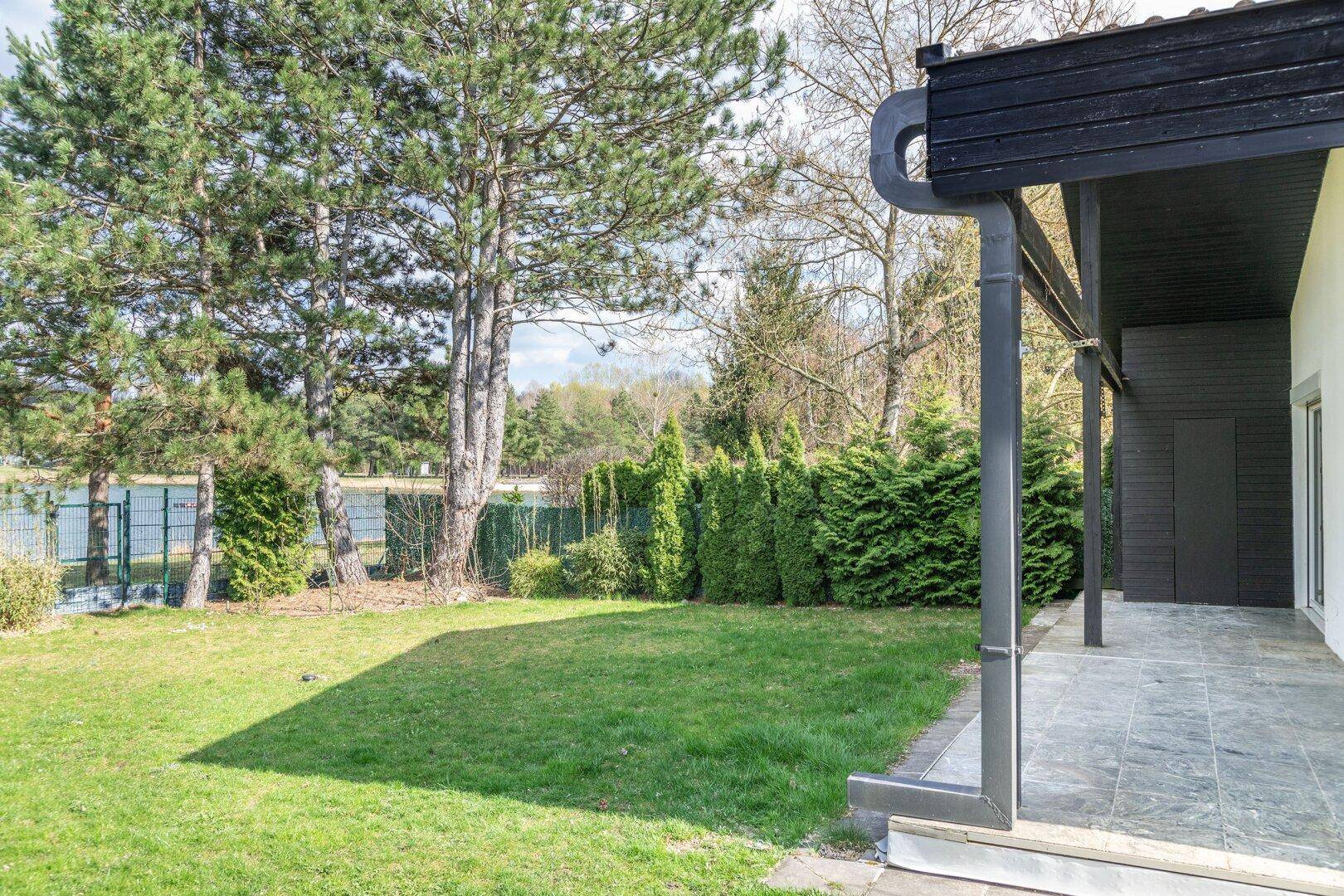 Grüner Gartenbereich mit Rasenfläche, hohen Bäumen und Hecken neben dem Haus.