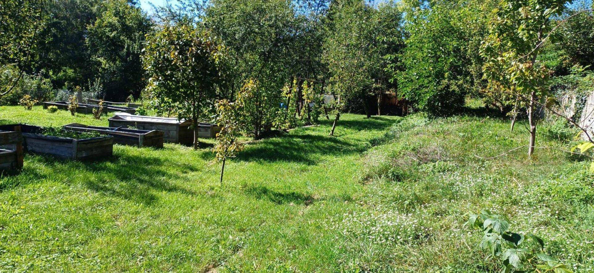 Sonniger Garten mit gepflegtem Rasen, jungen Obstbäumen und Hochbeeten für den Anbau von Gemüse.