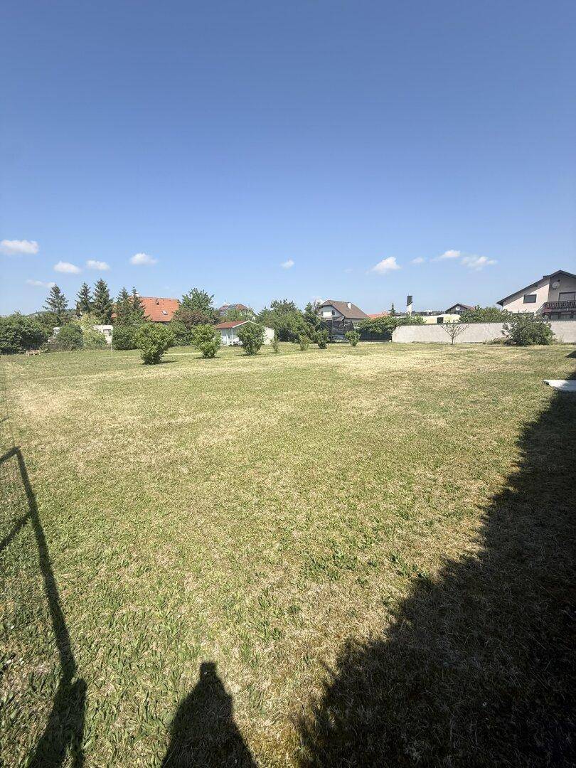 Weitläufige Rasenfläche eines Grundstücks mit umliegenden Wohnhäusern unter strahlend blauem Himmel.