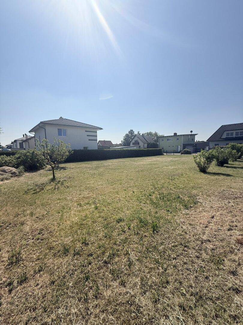 Großes, offenes Gartengrundstück mit Rasen und Blick auf die umliegenden Wohnhäuser an einem sonnigen Tag.