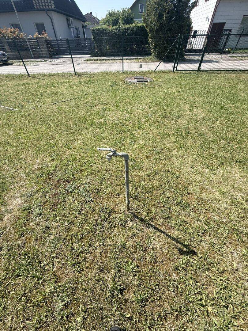Wasserhahn im Rasen, bereit zur Gartenbewässerung an einem sonnigen Tag.