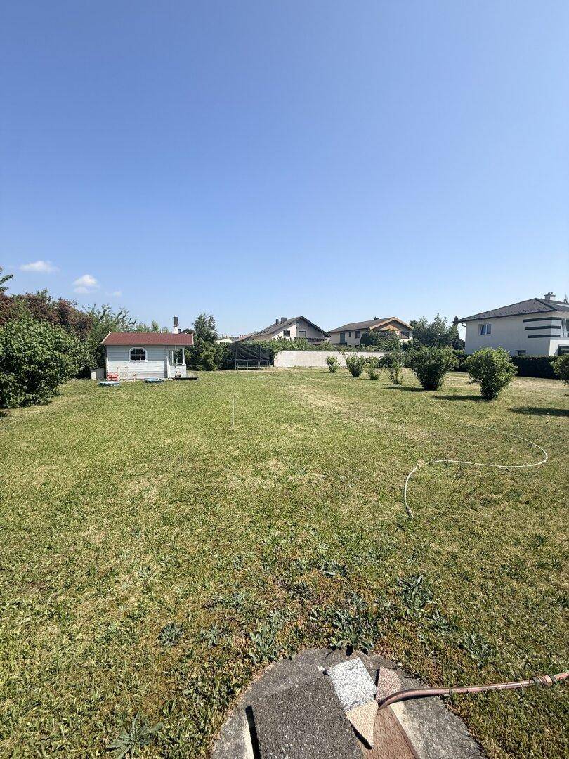 Großes Gartengrundstück mit Rasen, einem kleinen Gartenhaus und einem Gartenschlauch auf dem Boden.