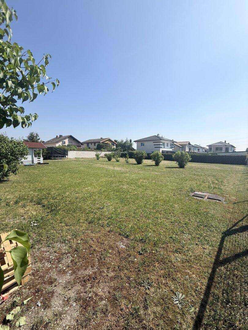 Weitläufige Rasenfläche mit einem kleinen Gartenhaus im Hintergrund und umliegenden Häusern.